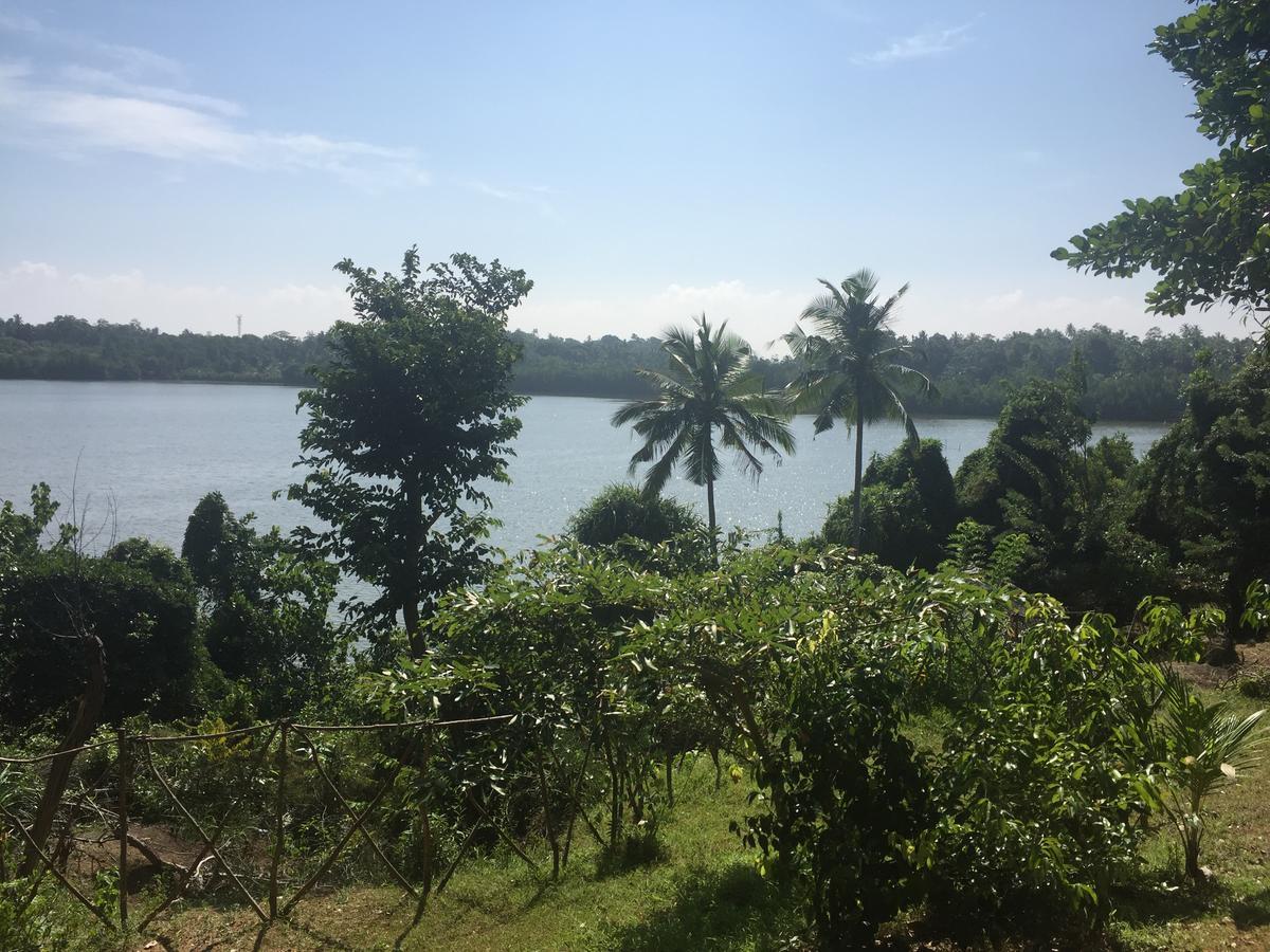 Kadolana Eco Village Balapitiya Extérieur photo