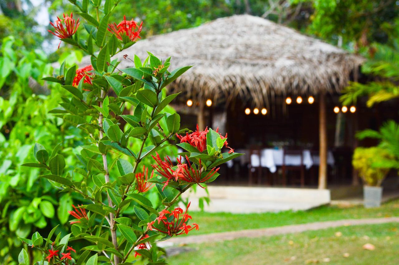Kadolana Eco Village Balapitiya Extérieur photo