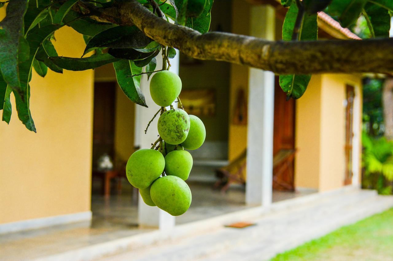 Kadolana Eco Village Balapitiya Extérieur photo